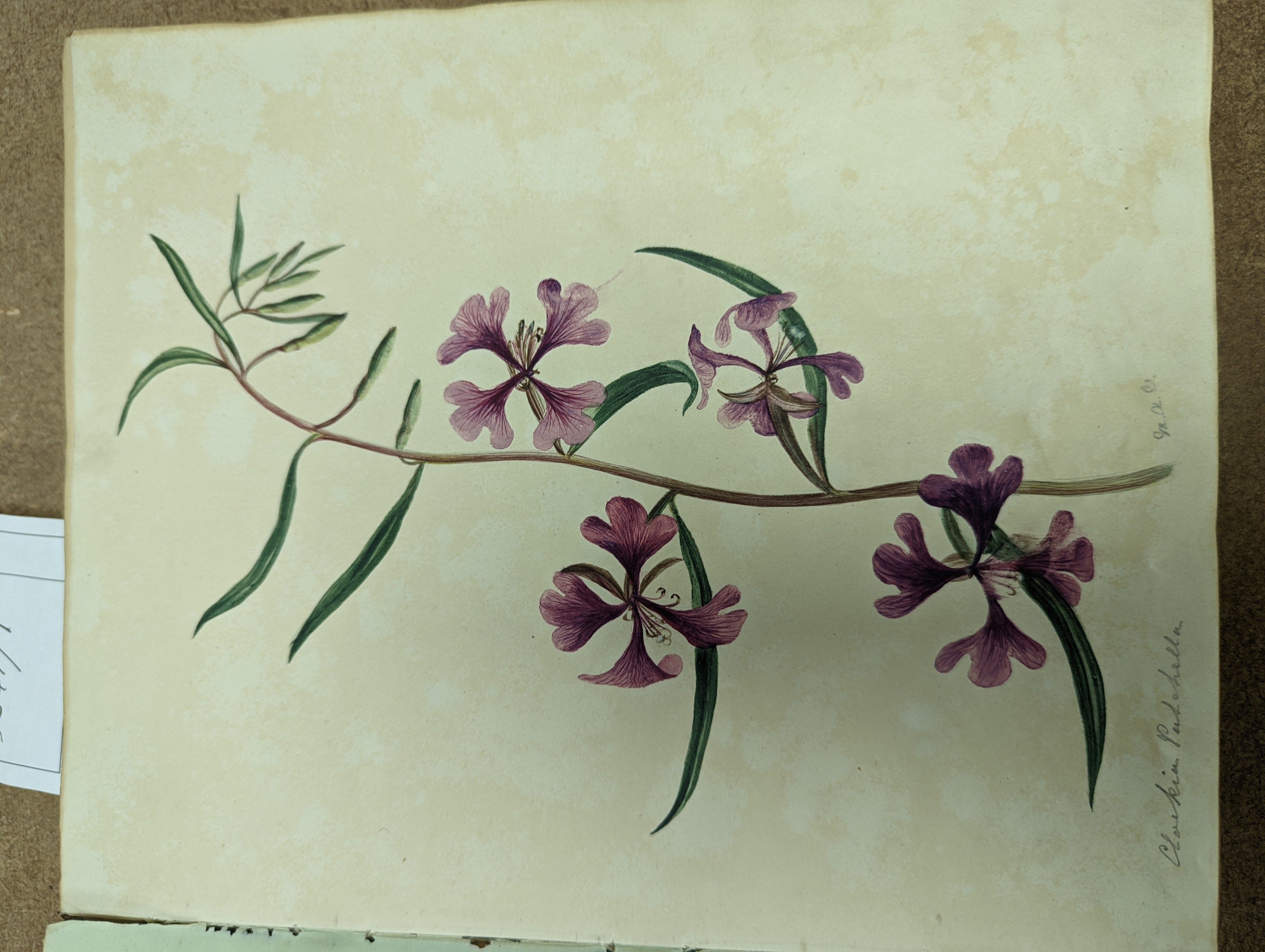 Mary Ann Vogan - an early 19th century album of 60 watercolours, pencil and ink drawings and engravings, including portraits, botanical specimens, land and seascapes, including 3 by R.C. Vogan, the front fly leaf inscrib